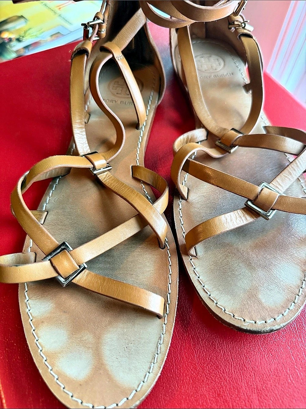 Tory Burch Miller Gladiator Sandal Gladiator Sandals Brown